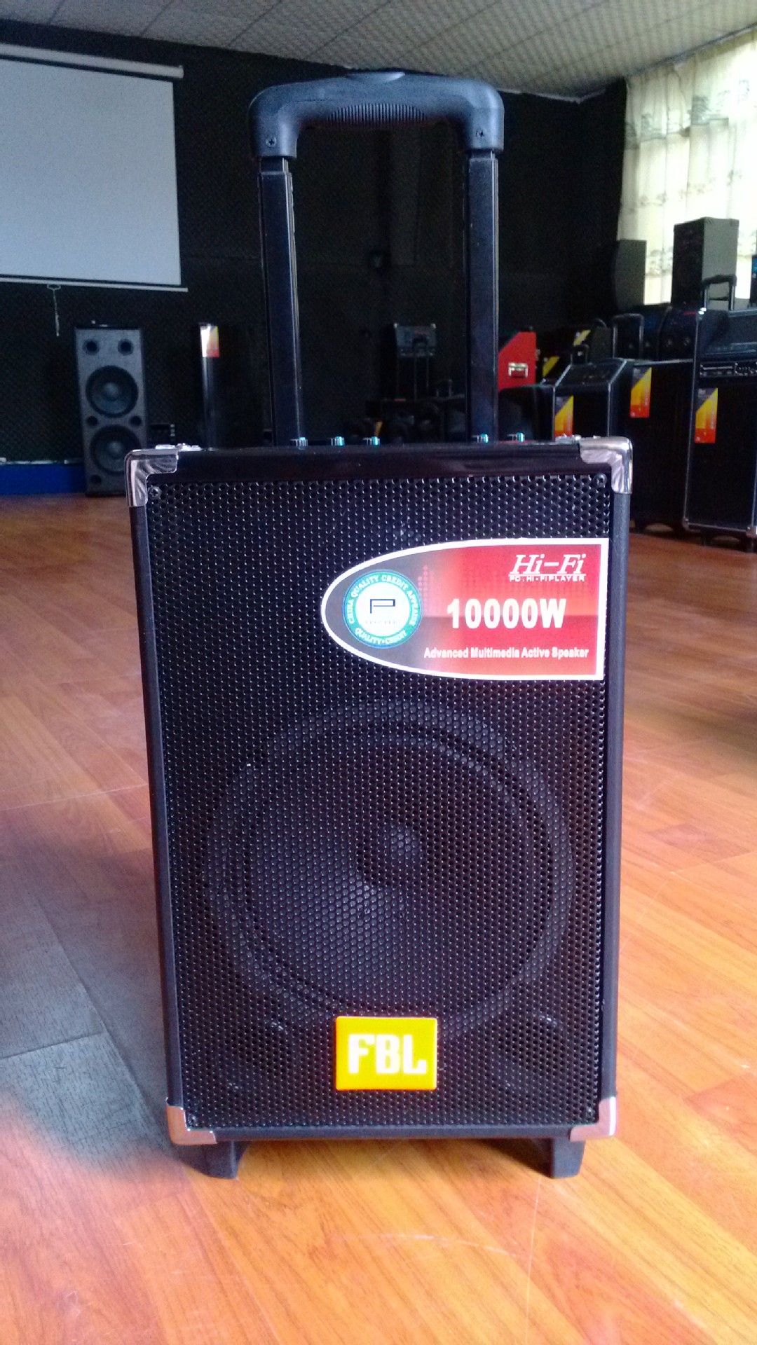 先科音響Q8 大功率拉桿戶外音箱，廠家直銷批發(fā)，教學(xué)促銷利器